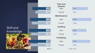 Filling the Gaps: Impacts of farmers group learning process on empowerment and gender equality in Sulawesi, Indonesia