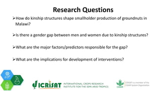 The Effect of Kinship Structures on Smallholder Production of Groundnuts in Malawi