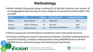 The Effect of Kinship Structures on Smallholder Production of Groundnuts in Malawi