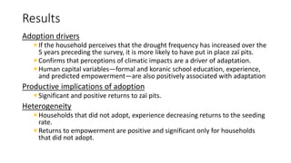 Empowerment, climate change adaptation, and agricultural production: evidence from Niger