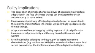 Empowerment, climate change adaptation, and agricultural production: evidence from Niger