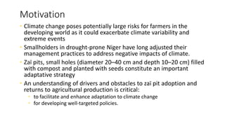 Empowerment, climate change adaptation, and agricultural production: evidence from Niger