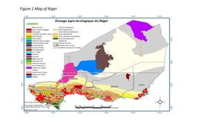 Empowerment, climate change adaptation, and agricultural production: evidence from Niger