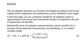 Empowerment, climate change adaptation, and agricultural production: evidence from Niger