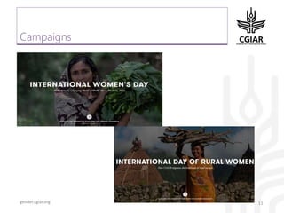 Gender platform communication and knowledge management: looking back 2017 - looking forward to 2018