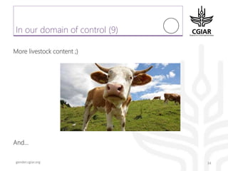 Gender platform communication and knowledge management: looking back 2017 - looking forward to 2018