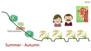 Gendered challenges in adapting to the state policy on organic potato farming, East Khasi Hills, Meghalaya, India