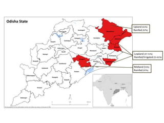 Understanding gendered rice varietal trait preferences: Case of stress tolerant rice in Odisha