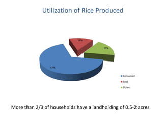 Understanding gendered rice varietal trait preferences: Case of stress tolerant rice in Odisha