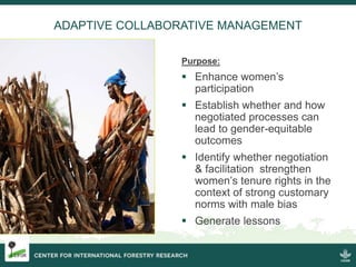 Getting a seat at the table: Strengthening women’s tenure rights and participation in community forestry in Uganda