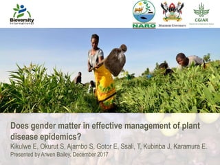 Does gender matter in effective management of plant
disease epidemics?
Kikulwe E, Okurut S, Ajambo S, Gotor E, Ssali, T, Kubiriba J, Karamura E.
Presented by Arwen Bailey, December 2017
 