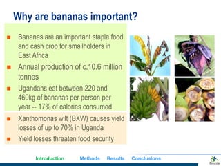 Does gender matter in effective management of plant disease epidemics? Insights from a survey among rural banana farming households in Uganda