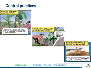 Does gender matter in effective management of plant disease epidemics? Insights from a survey among rural banana farming households in Uganda