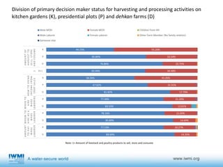 Gender, agricultural activities and water governance in rural Tajikistan in midst of male-out migration