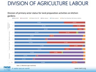 Gender, agricultural activities and water governance in rural Tajikistan in midst of male-out migration