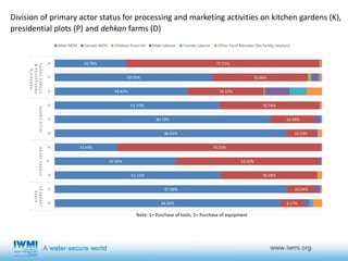 Gender, agricultural activities and water governance in rural Tajikistan in midst of male-out migration