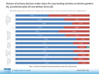 Gender, agricultural activities and water governance in rural Tajikistan in midst of male-out migration