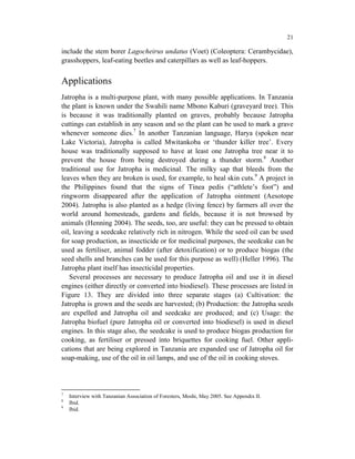 21

include the stem borer Lagocheirus undatus (Voet) (Coleoptera: Cerambycidae),
grasshoppers, leaf-eating beetles and caterpillars as well as leaf-hoppers.


Applications
Jatropha is a multi-purpose plant, with many possible applications. In Tanzania
the plant is known under the Swahili name Mbono Kaburi (graveyard tree). This
is because it was traditionally planted on graves, probably because Jatropha
cuttings can establish in any season and so the plant can be used to mark a grave
whenever someone dies.7 In another Tanzanian language, Harya (spoken near
Lake Victoria), Jatropha is called Mwitankoba or ‘thunder killer tree’. Every
house was traditionally supposed to have at least one Jatropha tree near it to
prevent the house from being destroyed during a thunder storm.8 Another
traditional use for Jatropha is medicinal. The milky sap that bleeds from the
leaves when they are broken is used, for example, to heal skin cuts.9 A project in
the Philippines found that the signs of Tinea pedis (“athlete’s foot”) and
ringworm disappeared after the application of Jatropha ointment (Aesotope
2004). Jatropha is also planted as a hedge (living fence) by farmers all over the
world around homesteads, gardens and fields, because it is not browsed by
animals (Henning 2004). The seeds, too, are useful: they can be pressed to obtain
oil, leaving a seedcake relatively rich in nitrogen. While the seed oil can be used
for soap production, as insecticide or for medicinal purposes, the seedcake can be
used as fertiliser, animal fodder (after detoxification) or to produce biogas (the
seed shells and branches can be used for this purpose as well) (Heller 1996). The
Jatropha plant itself has insecticidal properties.
   Several processes are necessary to produce Jatropha oil and use it in diesel
engines (either directly or converted into biodiesel). These processes are listed in
Figure 13. They are divided into three separate stages (a) Cultivation: the
Jatropha is grown and the seeds are harvested; (b) Production: the Jatropha seeds
are expelled and Jatropha oil and seedcake are produced; and (c) Usage: the
Jatropha biofuel (pure Jatropha oil or converted into biodiesel) is used in diesel
engines. In this stage also, the seedcake is used to produce biogas production for
cooking, as fertiliser or pressed into briquettes for cooking fuel. Other appli-
cations that are being explored in Tanzania are expanded use of Jatropha oil for
soap-making, use of the oil in oil lamps, and use of the oil in cooking stoves.




7
    Interview with Tanzanian Association of Foresters, Moshi, May 2005. See Appendix II.
8
    Ibid.
9
    Ibid.
 