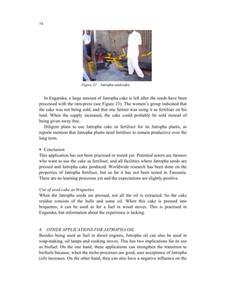 74




                       Figure 23   Jatropha seed-cake


   In Engaruka, a large amount of Jatropha cake is left after the seeds have been
processed with the ram-press (see Figure 23). The women’s group indicated that
the cake was not being sold, and that one farmer was using it as fertiliser on his
land. When the supply increased, the cake could probably be sold instead of
being given away free.
   Diligent plans to use Jatropha cake as fertiliser for its Jatropha plants, as
reports mention that Jatropha plants need fertiliser to remain productive over the
long term.

   Conclusion
This application has not been practised or tested yet. Potential actors are farmers
who want to use the cake as fertiliser, and all facilities where Jatropha seeds are
pressed and Jatropha cake produced. Worldwide research has been done on the
properties of Jatropha fertiliser, but so far it has not been tested in Tanzania.
There are no learning processes yet and the expectations are slightly positive.

Use of seed-cake as briquettes
When the Jatropha seeds are pressed, not all the oil is extracted. So the cake
residue consists of the hulls and some oil. When this cake is pressed into
briquettes, it can be used as for a fuel in wood stoves. This is practised in
Engaruka, but information about the experience is lacking.


4. OTHER APPLICATIONS FOR JATROPHA OIL
Besides being used as fuel in diesel engines, Jatropha oil can also be used in
soap-making, oil lamps and cooking stoves. This has two implications for its use
as biofuel. On the one hand, these applications can strengthen the transition to
biofuels because, when the niche-processes are good, user acceptance of Jatropha
(oil) increases. On the other hand, they can also have a negative influence on the
 