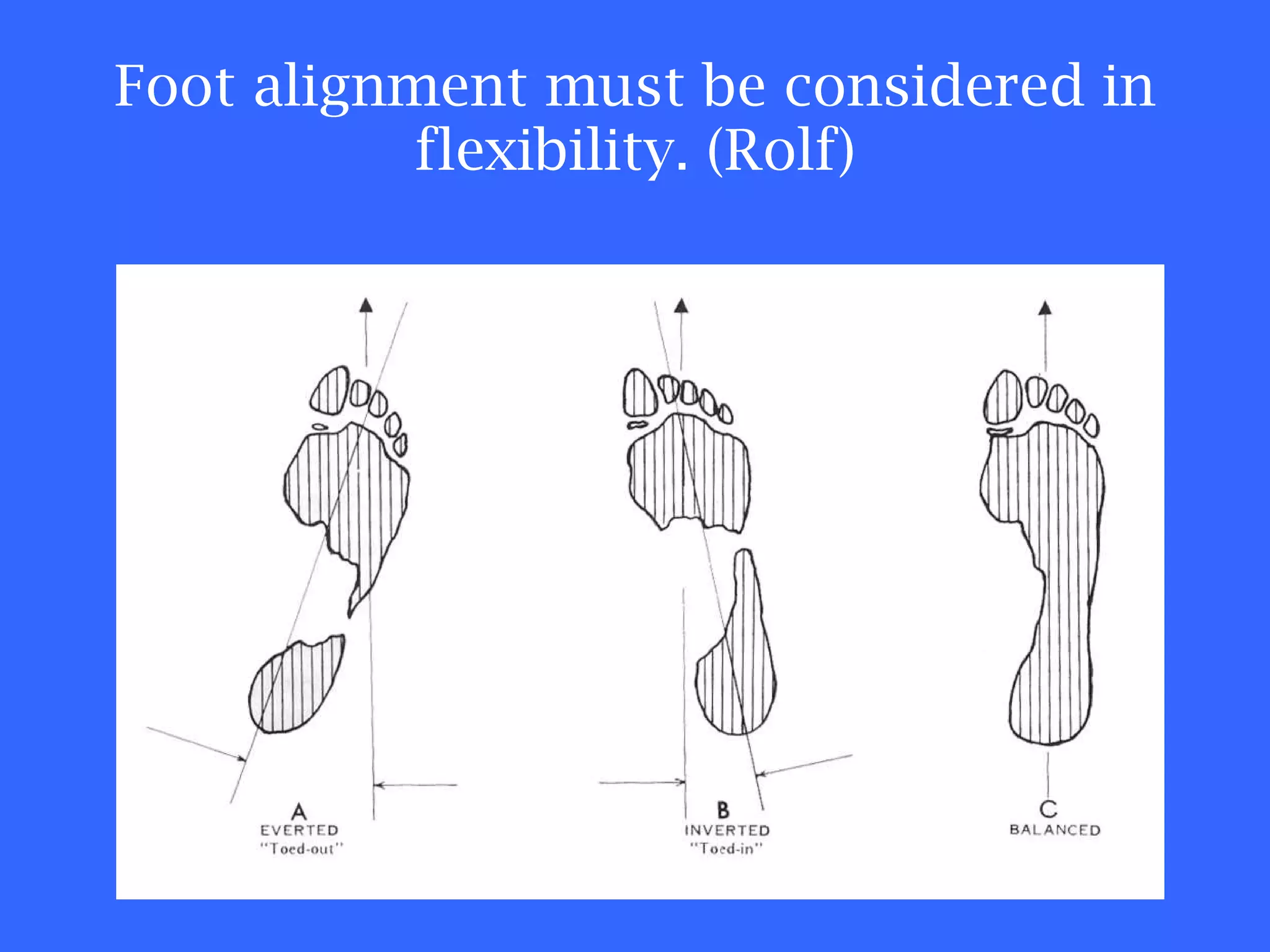 Foot alignment must be considered in flexibility. (Rolf) 