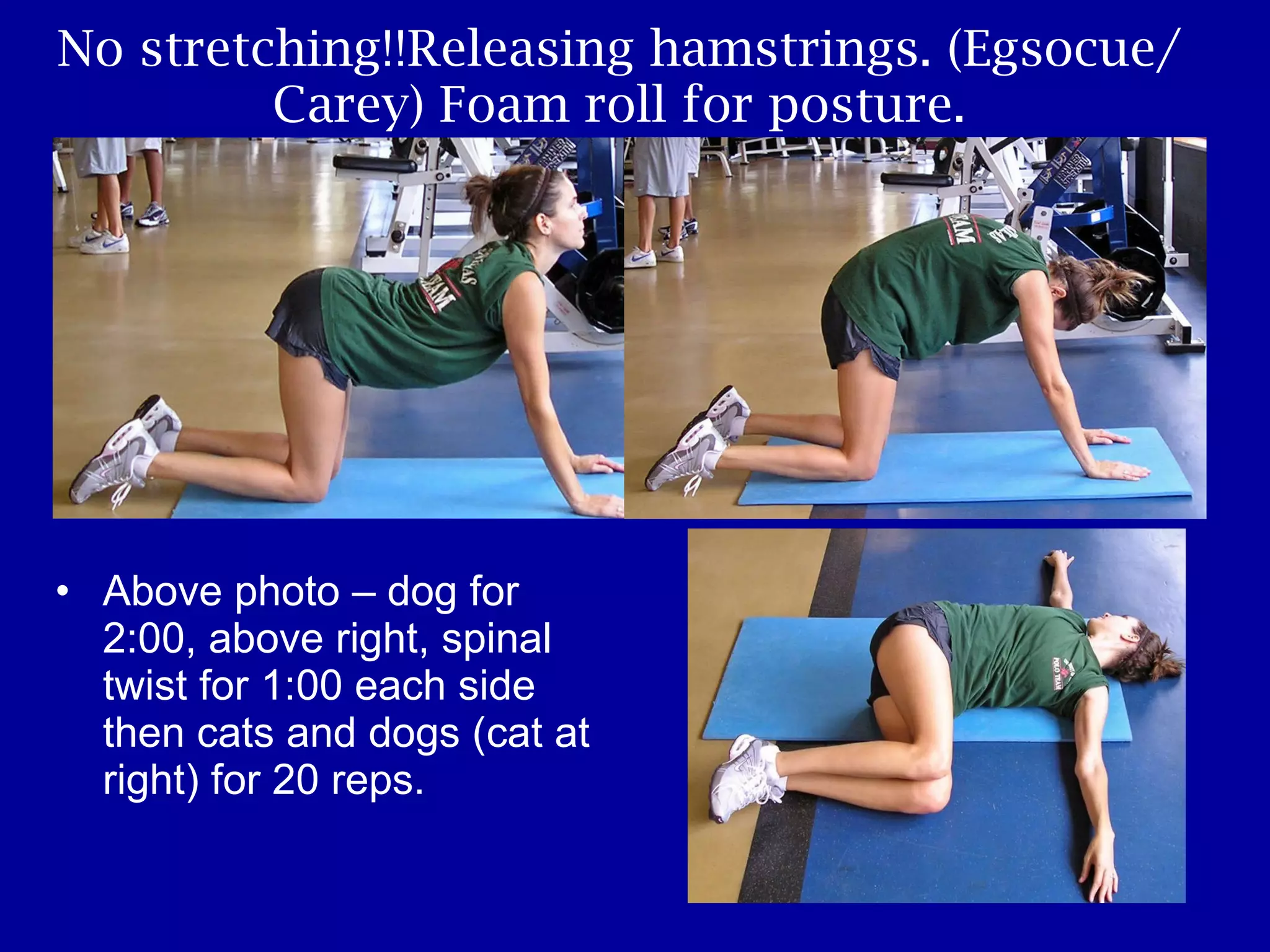 No stretching!!Releasing hamstrings. (Egsocue/Carey) Foam roll for posture. Above photo – dog for 2:00, above right, spinal twist for 1:00 each side then cats and dogs (cat at right) for 20 reps. 
