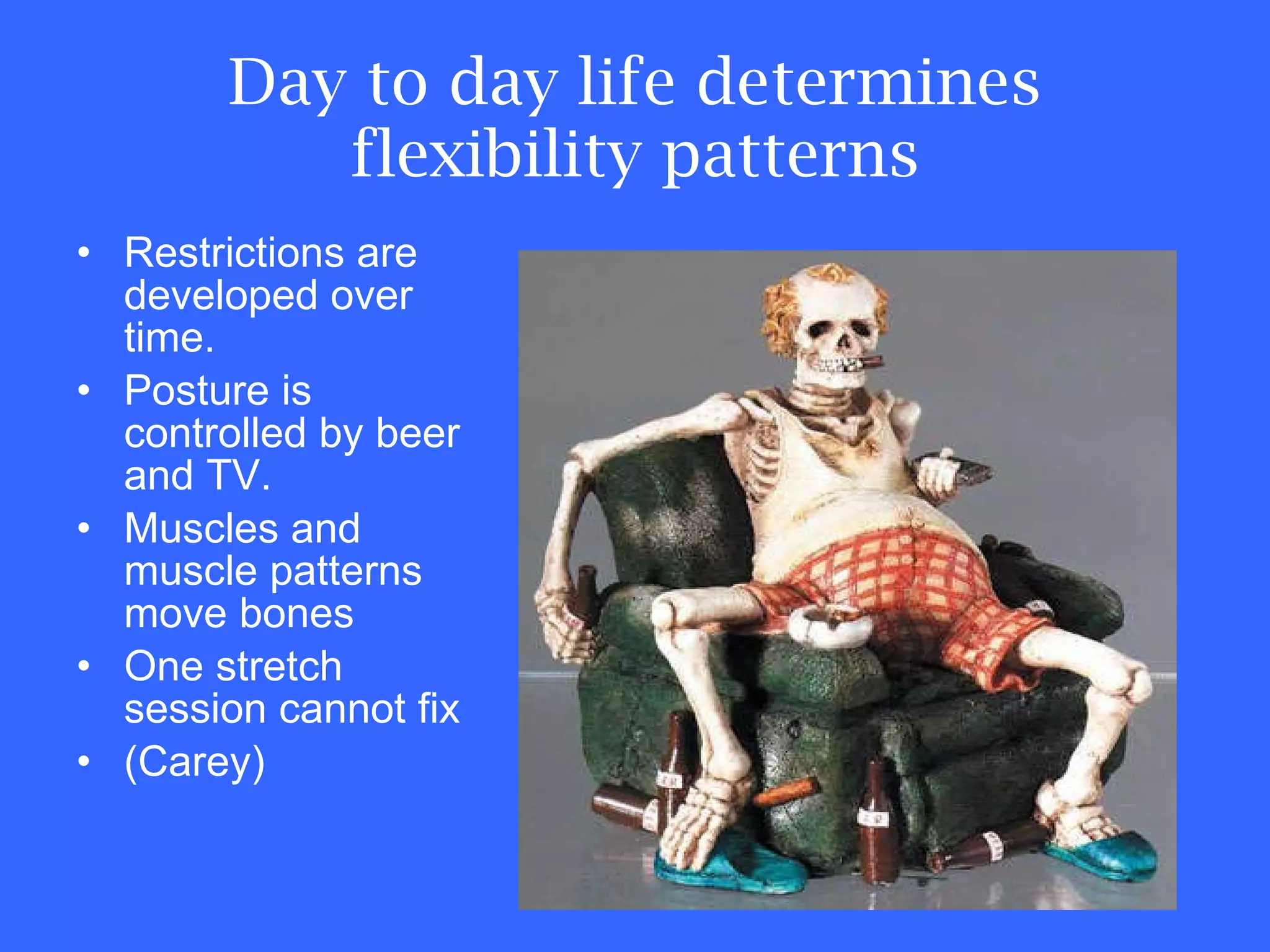 Day to day life determines flexibility patterns Restrictions are developed over time. Posture is controlled by beer and TV. Muscles and muscle patterns move bones One stretch session cannot fix (Carey) 