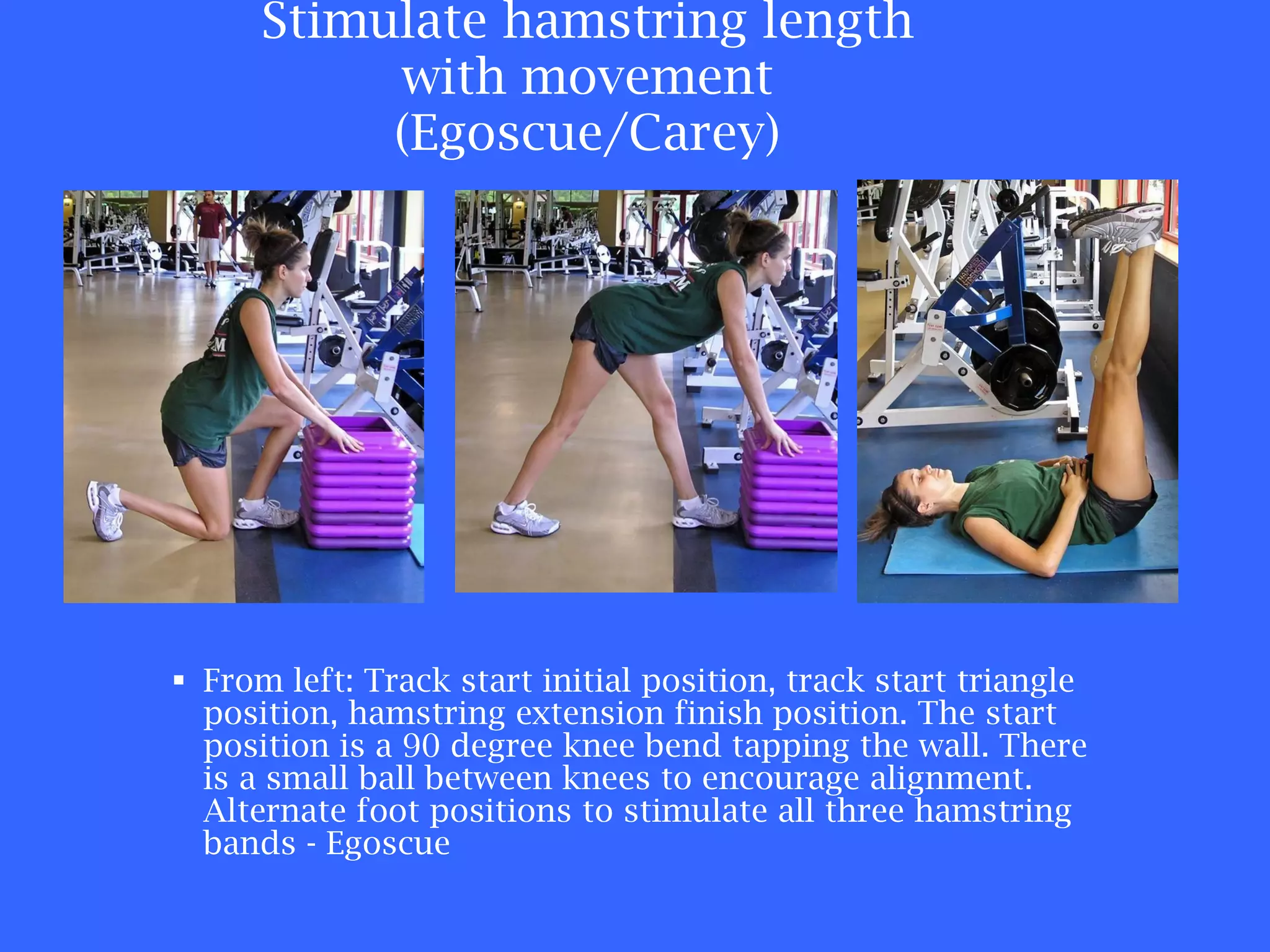 Stimulate hamstring length with movement (Egoscue/Carey) From left: Track start initial position, track start triangle position, hamstring extension finish position. The start position is a 90 degree knee bend tapping the wall. There is a small ball between knees to encourage alignment. Alternate foot positions to stimulate all three hamstring bands - Egoscue 