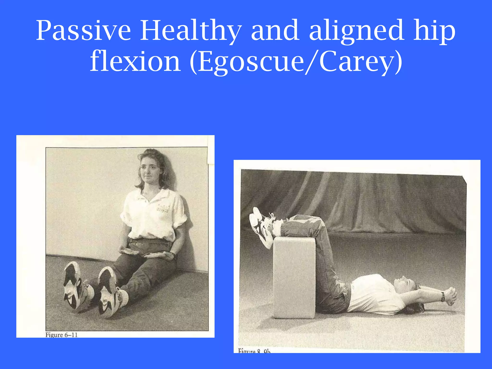 Passive Healthy and aligned hip flexion (Egoscue/Carey) 