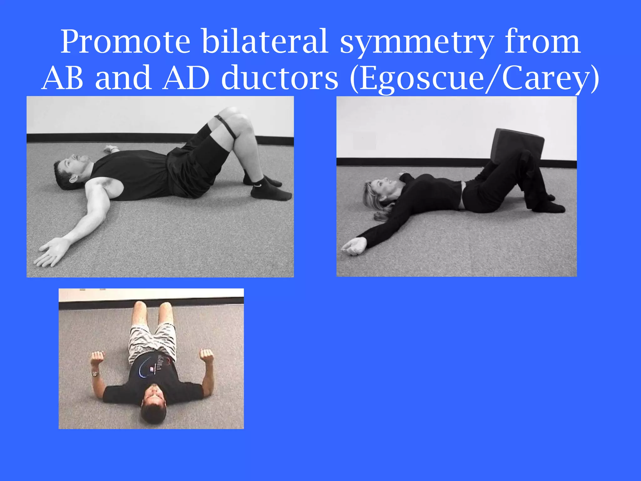 Promote bilateral symmetry from AB and AD ductors (Egoscue/Carey) 