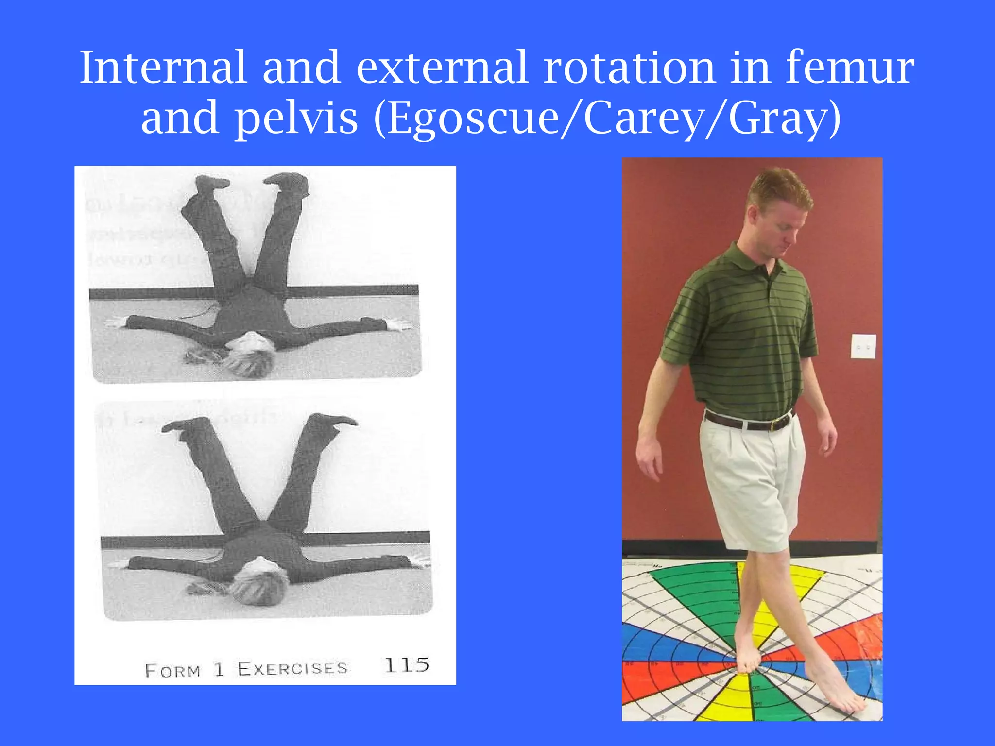 Internal and external rotation in femur and pelvis (Egoscue/Carey/Gray)  