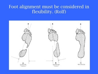 Foot alignment must be considered in flexibility. (Rolf) 