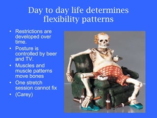 Day to day life determines flexibility patterns Restrictions are developed over time. Posture is controlled by beer and TV. Muscles and muscle patterns move bones One stretch session cannot fix (Carey) 