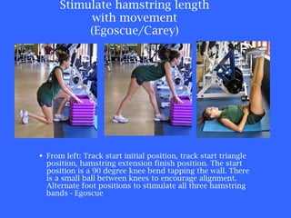 Stimulate hamstring length with movement (Egoscue/Carey) From left: Track start initial position, track start triangle position, hamstring extension finish position. The start position is a 90 degree knee bend tapping the wall. There is a small ball between knees to encourage alignment. Alternate foot positions to stimulate all three hamstring bands - Egoscue 