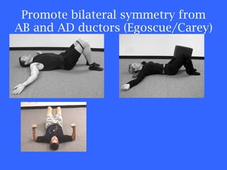 Promote bilateral symmetry from AB and AD ductors (Egoscue/Carey) 