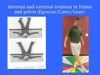 Internal and external rotation in femur and pelvis (Egoscue/Carey/Gray)  