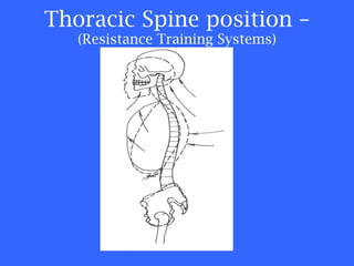 Thoracic Spine position –  (Resistance Training Systems) 