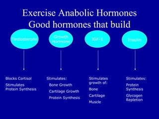 Exercise Anabolic Hormones
          Good hormones that build
                       Growth
   Testosterone                           IGF-1       Insulin
                      Hormone




Blocks Cortisol     Stimulates:          Stimulates   Stimulates:
                                         growth of:
Stimulates           Bone Growth                      Protein
Protein Synthesis                        Bone         Synthesis
                     Cartilage Growth
                                         Cartilage    Glycogen
                     Protein Synthesis
                                                      Repletion
                                         Muscle
 