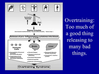 Overtraining:
Too much of
a good thing
 releasing to
  many bad
    things.
 