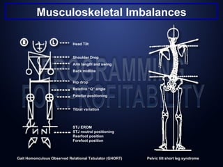 Musculoskeletal Imbalances

                            Head Tilt


                            Shoulder Drop
                            Arm length and swing
                            Back midline


                            Hip drop
                            Relative “Q” angle
                            Patellar positioning


                            Tibial variation



                            STJ EROM
                            STJ neutral positioning
                            Rearfoot position
                            Forefoot position



Gait Homonculous Observed Relational Tabulator (GHORT)   Pelvic tilt short leg syndrome
 