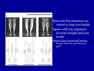 Knee and foot alignment are
  critical to long term health.
Squats with true alignment
  develop strength and joint
  health.
Muscles:Their Testing and Function,
  Kendal. McCrery and Provance,
  pg.97
 