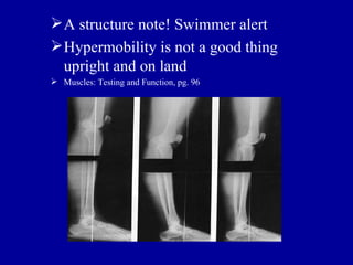  A structure note! Swimmer alert
 Hypermobility is not a good thing
  upright and on land
 Muscles: Testing and Function, pg. 96
 