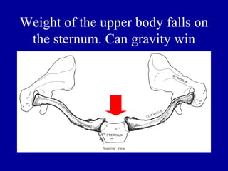 Weight of the upper body falls on
 the sternum. Can gravity win
 