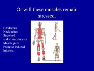 Or will these muscles remain
                     stressed.

Headaches
Neck aches.
Stretched
and strained nerves
Muscle pulls.
Exercise induced
Injuries.
 