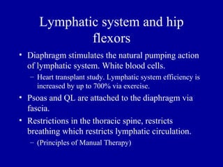 Lymphatic system and hip
              flexors
• Diaphragm stimulates the natural pumping action
  of lymphatic system. White blood cells.
   – Heart transplant study. Lymphatic system efficiency is
     increased by up to 700% via exercise.
• Psoas and QL are attached to the diaphragm via
  fascia.
• Restrictions in the thoracic spine, restricts
  breathing which restricts lymphatic circulation.
   – (Principles of Manual Therapy)
 