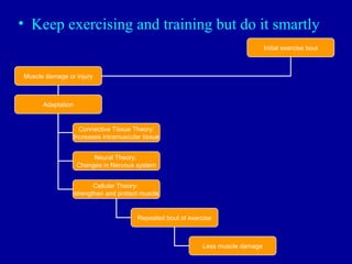 • Keep exercising and training but do it smartly
                                                                                    Initial exercise bout



Muscle damage or injury



      Adaptation


                     Connective Tissue Theory:
                   Increases intramuscular tissue


                         Neural Theory:
                    Changes in Nervous system


                          Cellular Theory:
                   strengthen and protect muscle


                                         Repeated bout of exercise



                                                               Less muscle damage
 