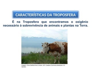 CARACTERÍSTICAS DA TROPOSFERA
É na Troposfera que encontramos o oxigênio
necessário à sobrevivência de animais e plantas na Terra.
Imagem: Chris Hartford from London, UK / Creative Commons Attribution 2.0
Generic
 