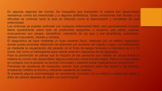 En algunas regiones del mundo, los mosquitos que transmiten la malaria han desarrollado
resistencia contra los insecticidas y a algunos antibióticos. Estas condiciones han llevado a la
dificultad de controlar tanto la tasa de infección como la diseminación y mortalidad de esta
enfermedad.
Los síntomas se pueden confundir con cualquier enfermedad febril, pero generalmente incluyen
fiebre escalofriante sobre todo de predominio vespertino o nocturno, piel pálida, anemia,
evacuaciones son sangre, escalofríos, coloración de los ojos y piel amarillenta, sudoración,
dolores musculares, náusea y vómitos.
El diagnostico se hace mediante un buen examen físico, realizado por un médico capacitado
donde puede encontrar distención de abdomen por aumento del hígado o bazo. La confirmación
es mediante la visualización del parasito en el frotis de sangre tomados a intervalos de 6 a 12
horas. Así como un hemograma para valorar anemia o descenso de las plaquetas.
Para la prevención se piensa que la mayoría de las personas que habitan en zonas donde la
malaria es común han desarrollado alguna protección hacia la enfermedad. Pero si no has estado
en contacto con el parásito no tendrán inmunidad y deberán tomar medicamentos preventivos.
Prevenga las picaduras de mosquitos usando ropa protectora sobre los brazos y las piernas,
empleando toldillos al dormir y utilizando repelente de insectos.
Si presenta alguna sintomatología se recomienda consultar con el médico si desarrolla fiebre y
dolor de cabeza después de visitar una zona tropical.
 