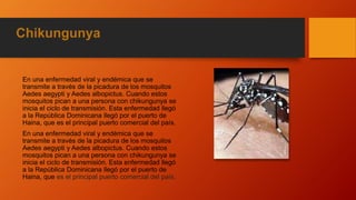 Chikungunya
En una enfermedad viral y endémica que se
transmite a través de la picadura de los mosquitos
Aedes aegypti y Aedes albopictus. Cuando estos
mosquitos pican a una persona con chikungunya se
inicia el ciclo de transmisión. Esta enfermedad llegó
a la República Dominicana llegó por el puerto de
Haina, que es el principal puerto comercial del país.
En una enfermedad viral y endémica que se
transmite a través de la picadura de los mosquitos
Aedes aegypti y Aedes albopictus. Cuando estos
mosquitos pican a una persona con chikungunya se
inicia el ciclo de transmisión. Esta enfermedad llegó
a la República Dominicana llegó por el puerto de
Haina, que es el principal puerto comercial del país.
 