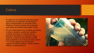 Colera
El cólera es una infección diarreica aguda
causada por la ingestión de alimentos o
agua contaminados con el bacilo Vibrio
cholerae. El breve periodo de incubación
que puede ser desde horas hasta 5 días.
Es una enfermedad muy virulenta que afecta
a niños y adultos y puede ser mortal en
cuestión de horas. La mayoría de las
personas infectadas no presenta ningún
síntoma, a pesar de que bacteria puede
estar presente en sus heces fecales durante
7 a 14 días después de la infección y
vuelven al medio ambiente, donde pueden
infectar a otras personas.
 