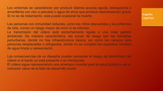 Los síntomas se caracterizan por producir diarrea acuosa aguda, blanquecina o
amarillenta con olor a pescado o agua de arroz que produce deshidratación grave.
Si no se da tratamiento, esta puede ocasionar la muerte.
Las personas con inmunidad reducida, como los niños desnutridos y los enfermos
de sida, corren un riesgo mayor de morir si se infectan.
La transmisión del cólera está estrechamente ligada a una mala gestión
ambiental. De manera característica, las zonas de riesgo son las barriadas
periurbanas, donde no hay infraestructura básica, así como los campos para
personas desplazadas o refugiadas, donde no se cumplen los requisitos mínimos
de agua limpia y saneamiento.
Las consecuencias de un desastre pueden aumentar el riesgo de transmisión del
cólera si el bacilo ya está presente o es introducido.
El cólera sigue representando una amenaza mundial para la salud pública y es un
indicador clave de la falta de desarrollo social.
Angeles
Capellan
 
